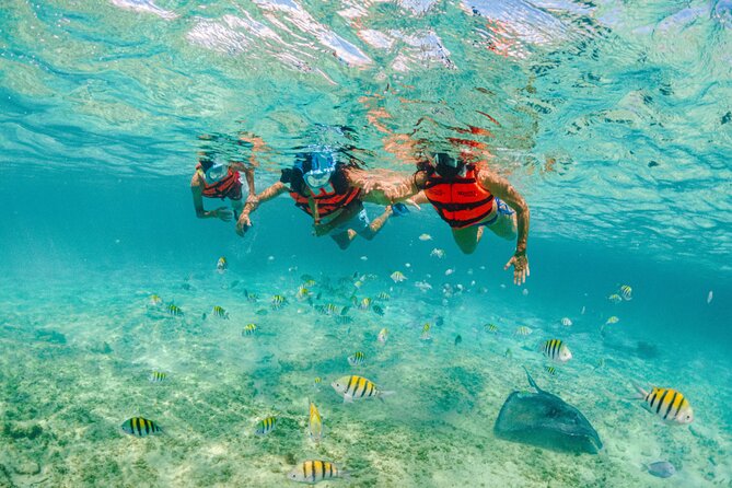 2 Day Combo Tour, Xcaret, Xel-Ha, Xplor and Chichen Itza Option - Who This Combo Tour Is Best For