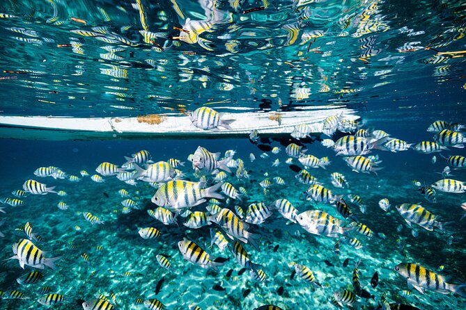 2 in 1 Parasail Cancun and Jet ski - Weather Can Change Everything: How Flexible Is This Plan?