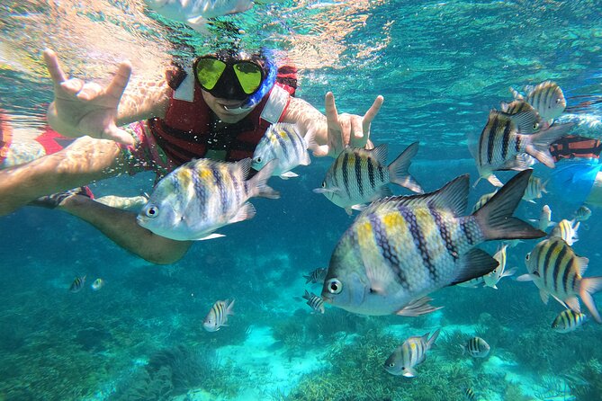 3 Hours VIP Semiprivate Tour Isla Mujeres Full Snorkeling Experience - A semi-private Isla Mujeres snorkel route with up to 8 guests