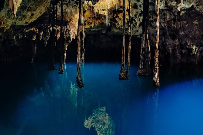 4-in-1 Cenote Tour Guided Experience with Breakfast, Lunch & Wine - Fire, Wind, Earth, Water: how each cenote changes the action