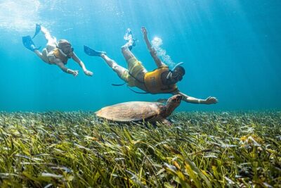5-in-1 Cancun Snorkeling: Turtles, Reef, Musa, Shipwreck, Cenote - How long it really is (and why that matters)