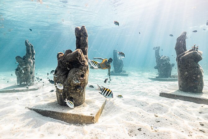 5-in-1 Cancun Snorkeling: Turtles, Reef, Musa, Shipwreck, Cenote - The shallow-water strategy: max depth around 9 feet