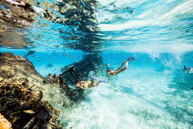5-in-1 Cancun Snorkeling: Turtles, Reef, Musa, Shipwreck, Cenote - Cenote finale: why the last stop can make or break the day