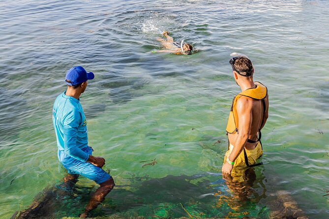 5-in-1 Cancun Snorkeling: Turtles, Reef, Musa, Shipwreck, Cenote - Boat ride comfort: what to do if you get motion sick