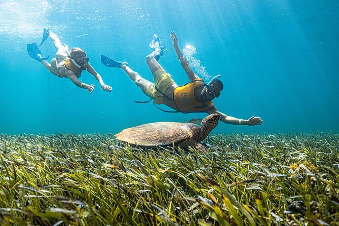 5-in-1 Cancun Snorkeling: Turtles, Reef, Musa, Shipwreck, Cenote - How long it really is (and why that matters)