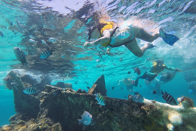 All-Inclusive Isla Mujeres Catamaran with Free Transportation - El Meco Reef snorkeling: gear included, guidance matters