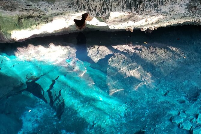 Archaeological Tour in Tulum and Coba with Kuxtal Cenote - Guide quality and language: getting what you paid for