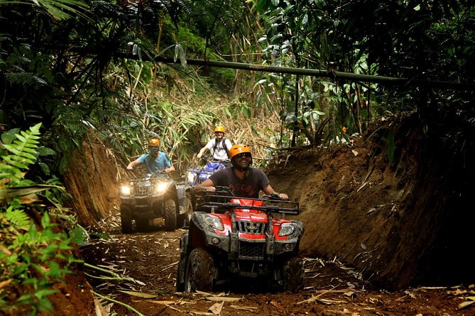 ATV Combo Horseback Riding, ATV, Ziplines, Cenote and Lunch - Cenote swim: refresh time with a sacred feel