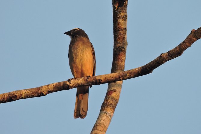 Birdwatching Cancun - Price and value: what you’re really paying for at $165