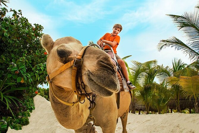 Camel Expedition and Beach Club In Riviera Maya - The Photo Rule and the $35 to $95 Memory Problem