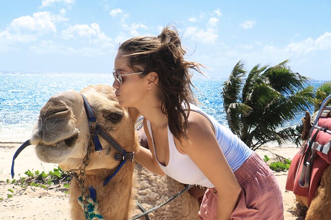 Camel Expedition and Beach Club In Riviera Maya - Transfers From Cancun or Riviera Maya: The Part to Double-Check