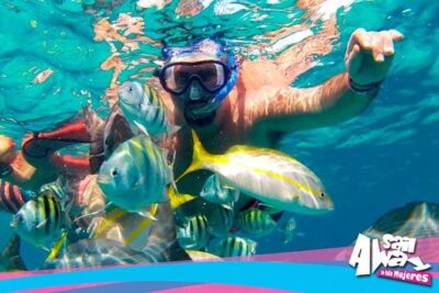 Cancun Adults Only Party Cruise to Isla Mujeres with Open Bar - The 10:00am Departure From Playa Langosta: Plan for the Wait