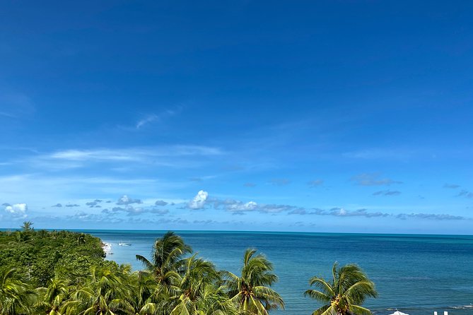 Cancun Airport Shared Shuttle to Holbox Chiquila Port - The moment you board: what the drive is really like