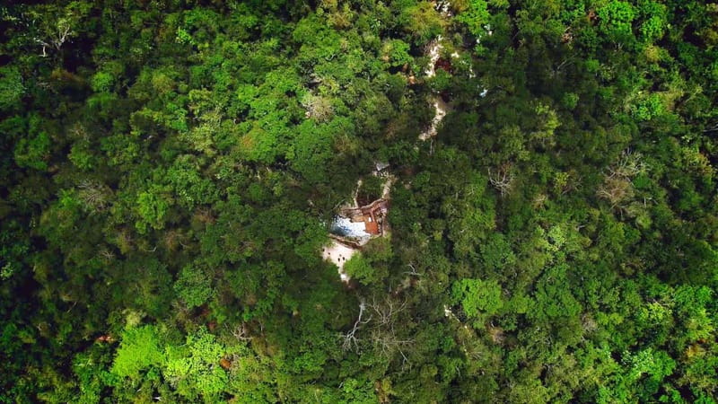 Cancún: Cenotes Adventure with Tequila Tasting & Mayan Snack - Photos, wildlife, and the little things that change your day