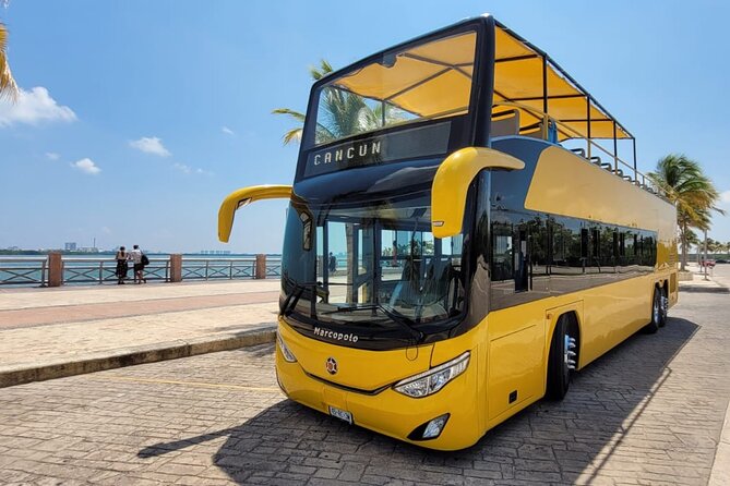 Cancun City Sightseeing and Shopping Tour on a Double Decker bus - Price and what you get for about $55