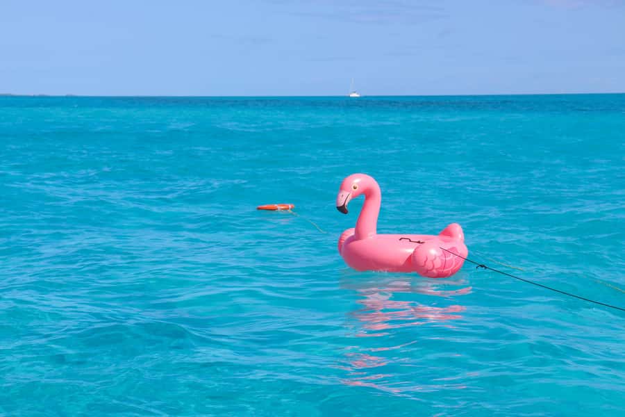 Cancun: Isla Mujeres Full Day Dancer Cruise - Timing That Helps: What 9:15 Check-In Feels Like
