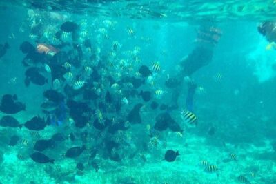 Cancun Jetski and Snorkel Adventure - Small Group Logistics: How the Tour Keeps Control