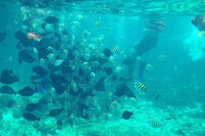 Cancun Jetski and Snorkel Adventure - Small Group Logistics: How the Tour Keeps Control