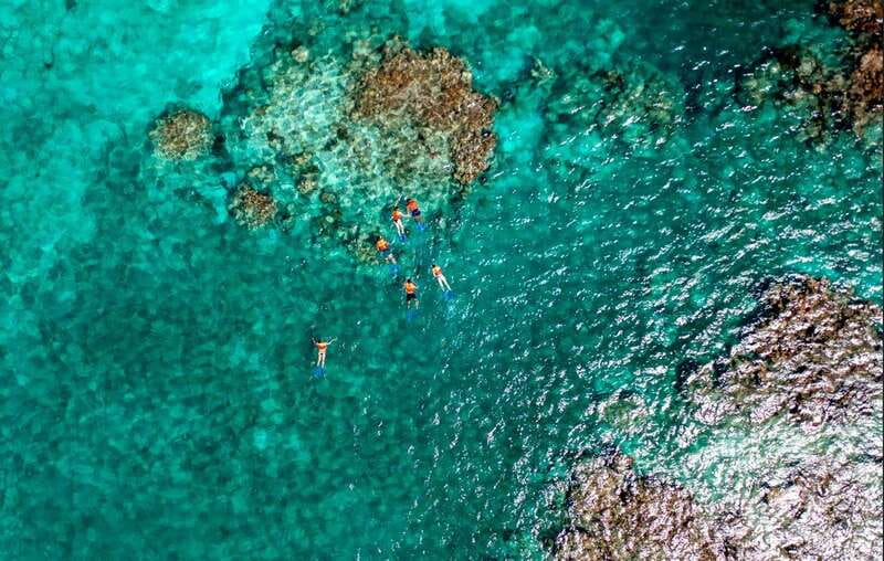 Cancun: Jungle Tour Adventure with Speedboat and Snorkeling - Mayan Path first: what to expect at Puerto Maya Cancún