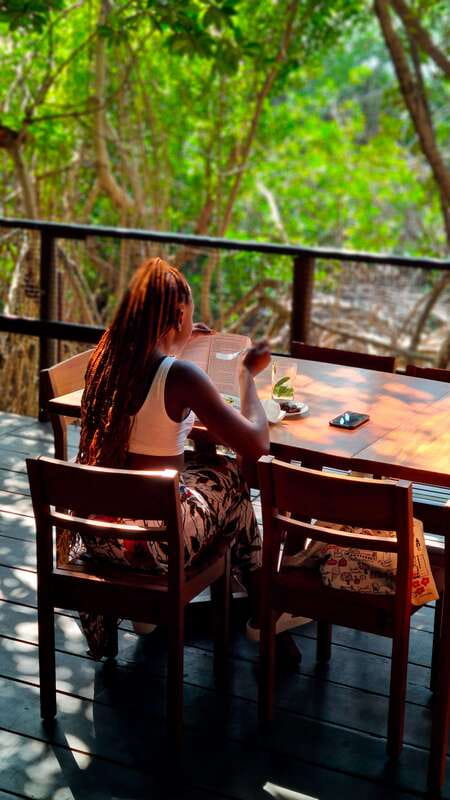 Cancun: Jungle Tour Adventure with Speedboat and Snorkeling - Price and extra fees: what $50 really means for this day