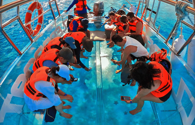 Cancún: Nichupté Lagoon Transparent Boat Tour with Drinks - Should you book this transparent boat tour?