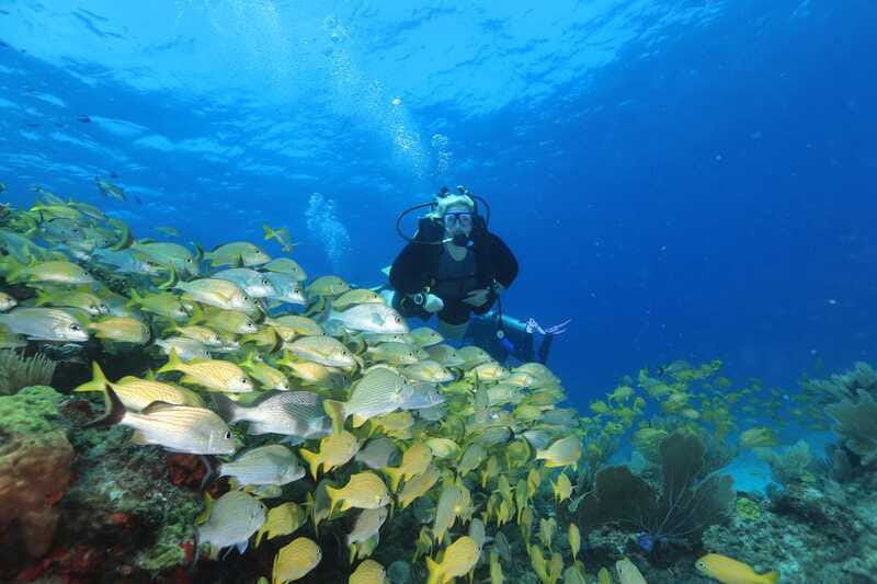 Cancun: Scuba Diving for Beginners, 2 Dives - Gear, gear fit, and the wet-day reality