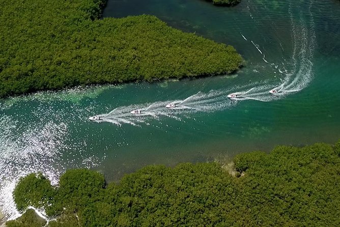 Cancun speedboat and snorkel tour: shared speedboat - Punta Nizuc snorkeling: statues, reefs, and how the guide keeps you on track