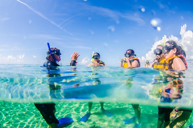 Cancun speedboat and snorkel tour: shared speedboat - Price and value: $59 sounds simple, until the $20 dock fee shows up