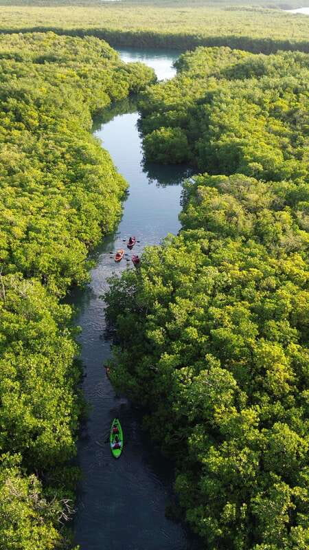 Cancun: Sunset Kayak Experience in the Mangroves - Why a Cancun sunset kayak beats another beach day