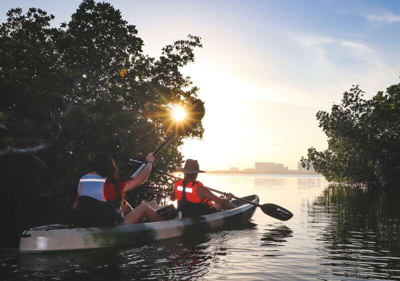 Cancun: Sunset Kayak Experience in the Mangroves - First paddle session in Nichupté: mangrove channels and wildlife listening