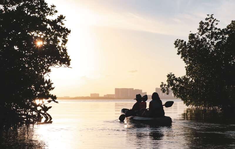 Cancun: Sunset Kayak Experience in the Mangroves - Second guided paddle: birds, rays, and possible baby-croc moments
