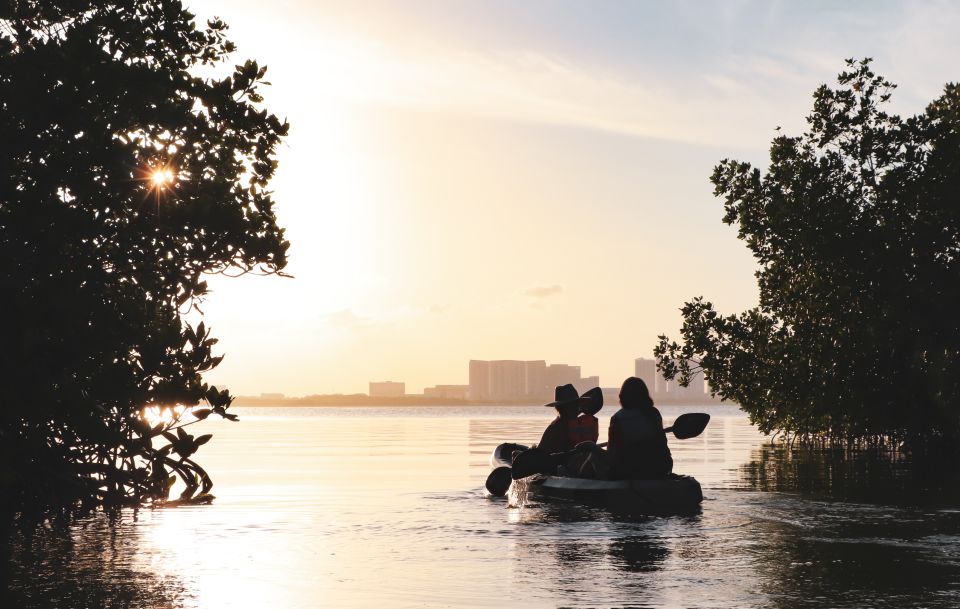 Cancun: Sunset Kayak Experience in the Mangroves - Wildlife spotting tips I’d use for the best chances