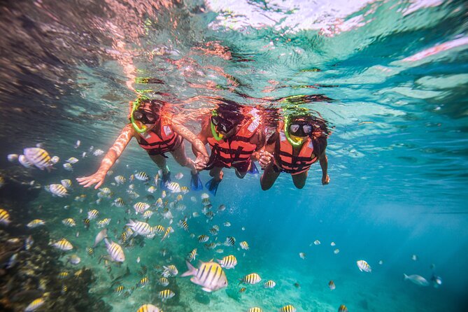 CATAMARAN to Isla Mujeres, Snorkel & Beach Club by Xcaret - Why this Cancún-to-Isla Mujeres catamaran day works