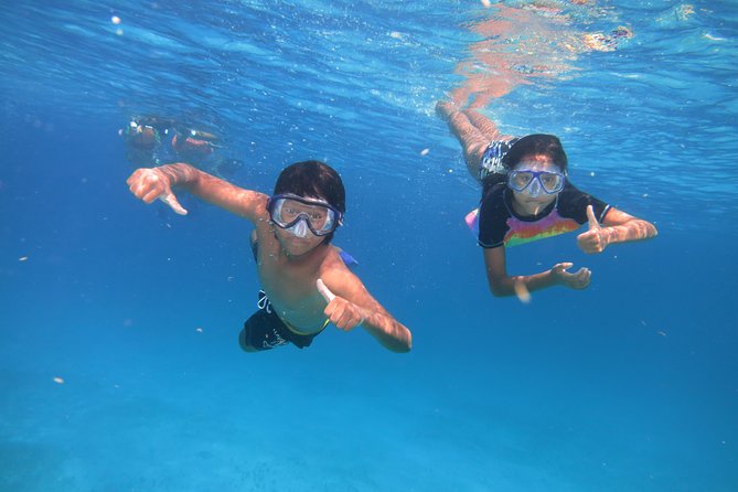 Catamaran Tour to Isla Mujeres all Included - Buffet Lunch on the Water: Chicken Fajitas, Fish, and Open Bar Vibes