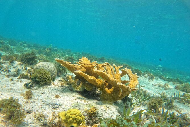 Catamaran with Snorkeling and North Beach, Isla Mujeres - Price and value: what $49 covers (and what costs extra)