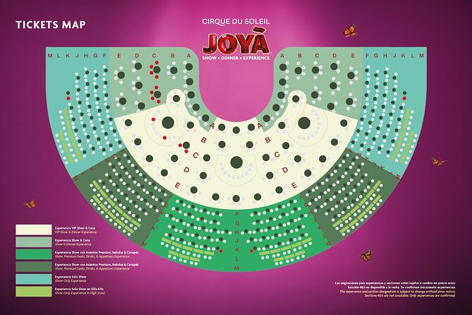 Cirque du Soleil JOYÀ Admission Tickets - The show itself: story, characters, and the live soundtrack