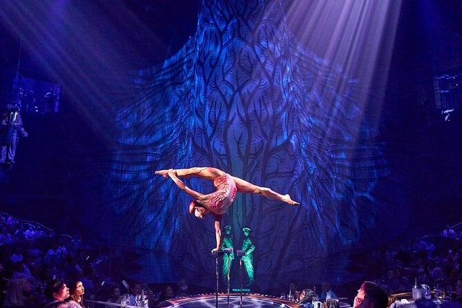 Cirque du Soleil JOYÀ Admission Tickets - Show-only vs. seating upgrades: how to pick the right vibe