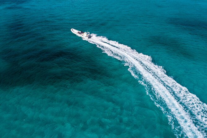 Cozumel Starfish and Tropical Reef Snorkeling by Powerboat with Lunch - Cozumel Reef National Park: what this tour does well