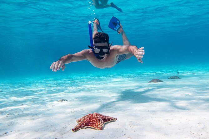 Cozumel Starfish and Tropical Reef Snorkeling by Powerboat with Lunch - Gear is included, so travel light and swim smart