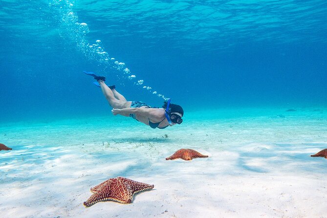 Cozumel Starfish and Tropical Reef Snorkeling by Powerboat with Lunch - Who should book this tour (and who might not love it)