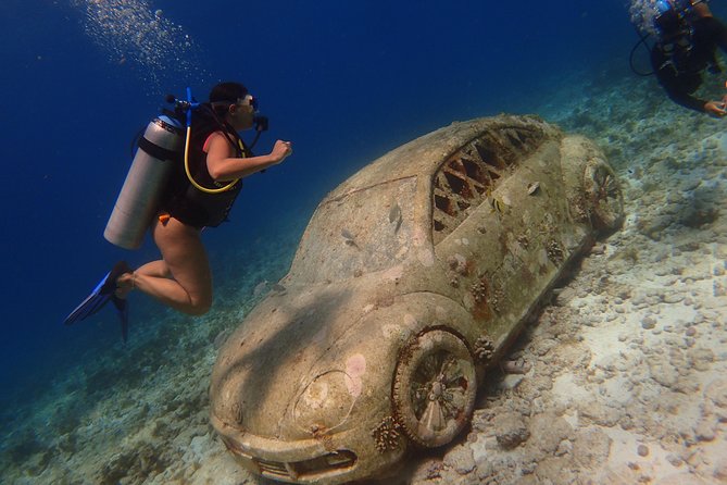 Diving in Cancun for Certified Divers | 2 Dives | All Inclusive - MUSA and Reefs: Why This Two-Stop Plan Works for Wildlife