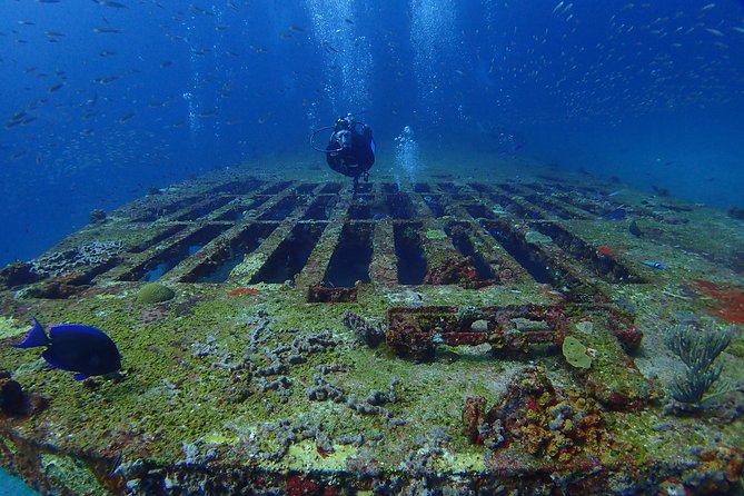 Diving in Cancun for Certified Divers | 2 Dives | All Inclusive - Equipment Included: What You Can Save, and What to Bring Anyway