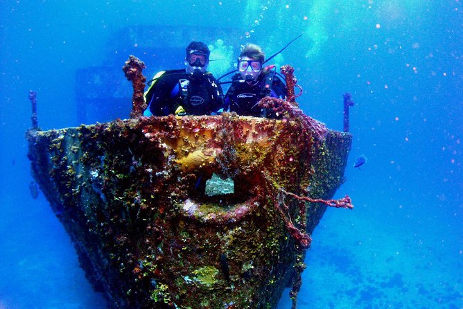 Diving in Cancun for Certified Divers | 2 Dives | All Inclusive - Price and Value: What $161.24 Buys You (and Why It’s Reasonable)