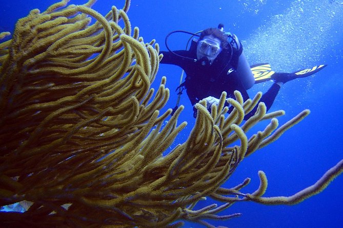 Diving in the Mexican Caribbean for Beginners | 2 Tanks 2 Dives | All Inclusive - Boat Ride to the Descent Site: The Calm Before the First Ocean Session
