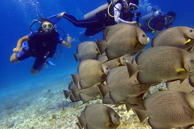 Diving in the Mexican Caribbean for Beginners | 2 Tanks 2 Dives | All Inclusive - Price and Value: What $190.69 Includes (and What to Budget for)