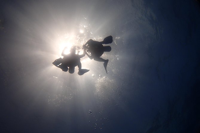 Diving in the Mexican Caribbean for Beginners | 2 Tanks 2 Dives | All Inclusive - The Small-Group Factor: Why Max 6 Matters Underwater