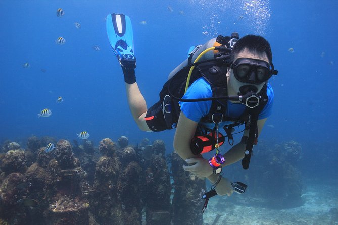 For certified Divers Experience the Under Water Museum and the Manchones Reef - Under Water Museum: Art With Purpose (and Bubbles)