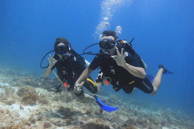 For certified Divers Experience the Under Water Museum and the Manchones Reef - What’s Included (and Why It Matters)
