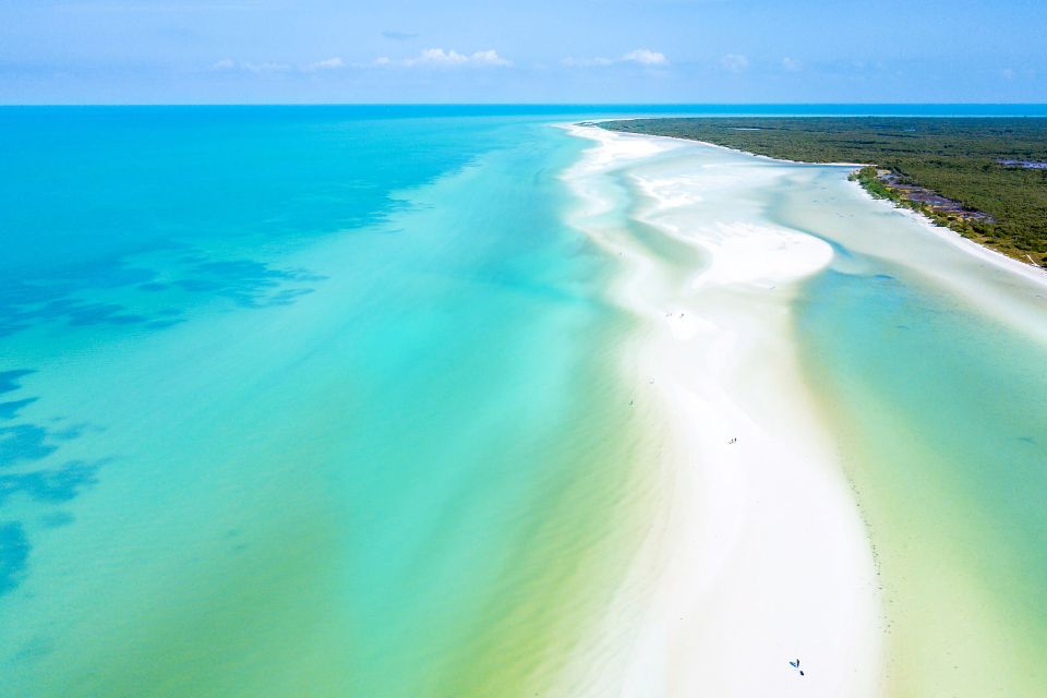 From Cancun or Puerto Morelos: Holbox Boat Tour with Lunch - Key highlights worth circling