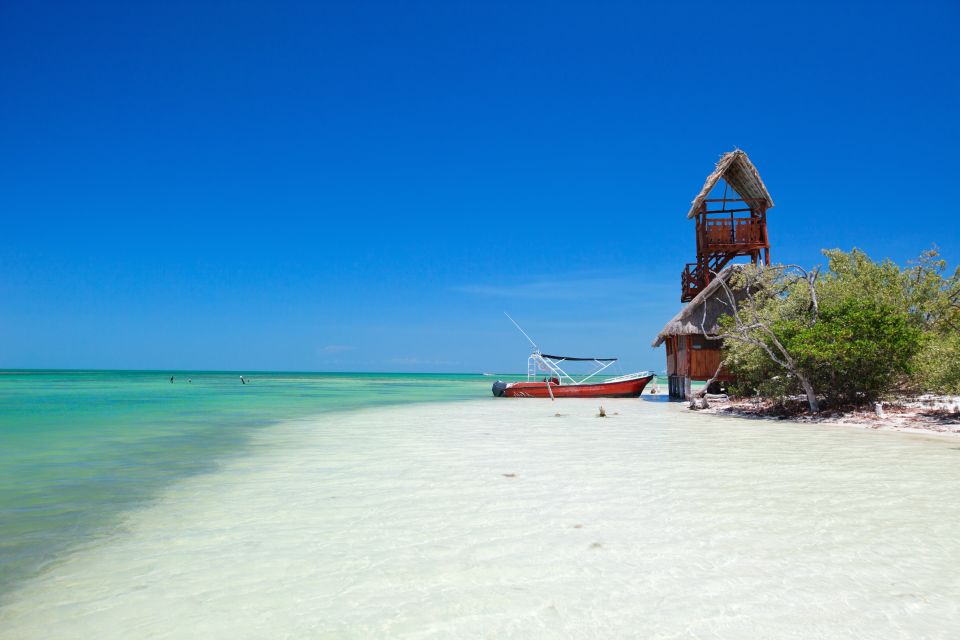 From Cancun or Puerto Morelos: Holbox Boat Tour with Lunch - Punta Mosquito: photos, lunch timing, and guided flow